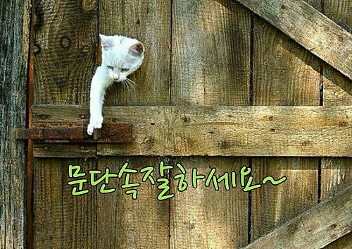 사랑하는 친구야...  