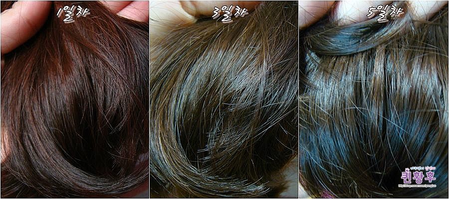 #도브오일샴푸 도브오일시리즈로 만나본 5일의 기적